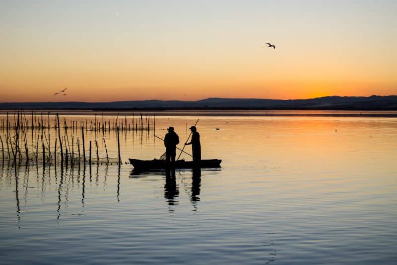 albufera valencia